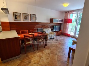 Apartment - Novigrad (00664)