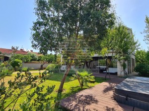 Vila - Umag (00080)