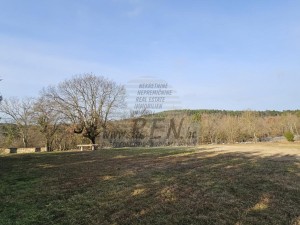 Vila - Buje (00090)