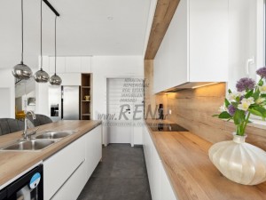 Villa - Brtonigla (00041)