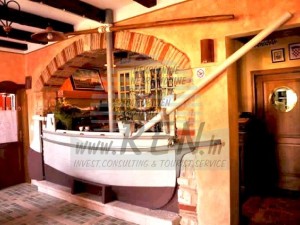 Villa - Umag (00056)