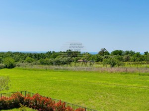 Vila - Brtonigla (00096)