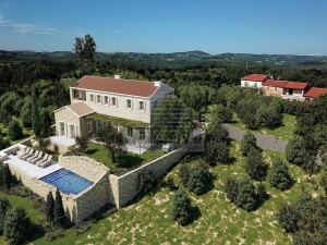 Vila - Novigrad (00018)