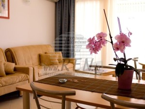 Villa - Umag (00059)