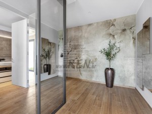 Villa - Buje (00020)