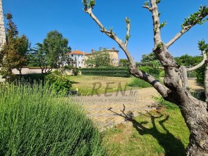 Vila - Umag (00080)