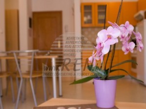 Vila - Umag (00004)