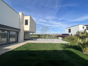 Vila - Novigrad (00024)