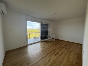 Vila - Novigrad (00024)
