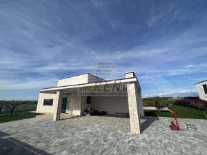 Vila - Novigrad (00024)