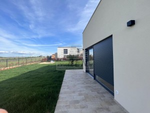 Vila - Novigrad (00024)