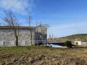 Vila - Buje (00090)