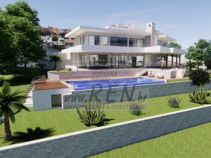 Villa - Buje (00021)