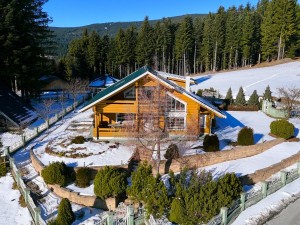Vila  - Rogla (00109)