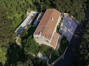 Vila - Novigrad (00018)