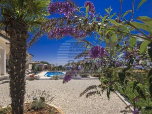 Vila - Poreč (00015)