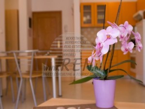 Villa - Umag (00059)