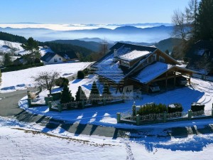Vila - Rogla (00109)