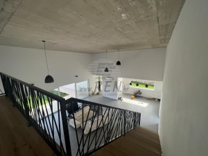 Vila - Novigrad (00024)
