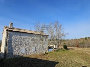 Vila - Buje (00090)