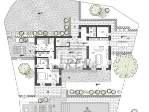 Vila - Novigrad (00018)