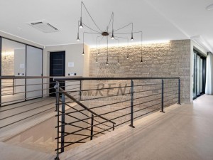 Villa - Buje (00020)