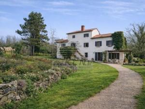 Villa - Buje (00051)