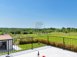 Villa - Brtonigla (00041)
