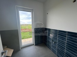 Vila - Novigrad (00024)
