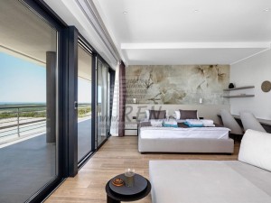 Villa - Buje (00020)