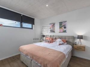 Vila - Novigrad (00023)