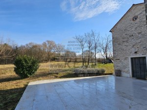 Vila - Buje (00090)